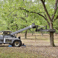 Thoughts on the Past Year and the Upcoming Harvest Season
