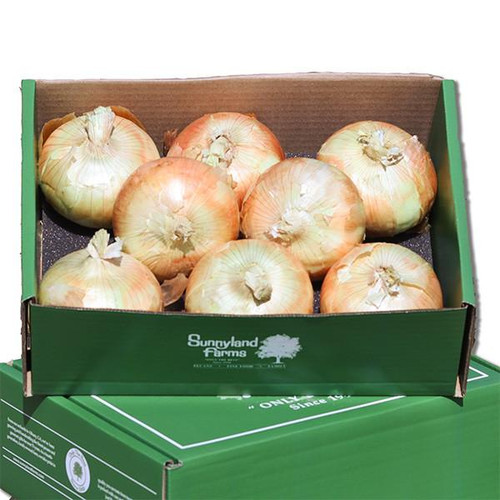 Fresh Sweet Vidalia Onions