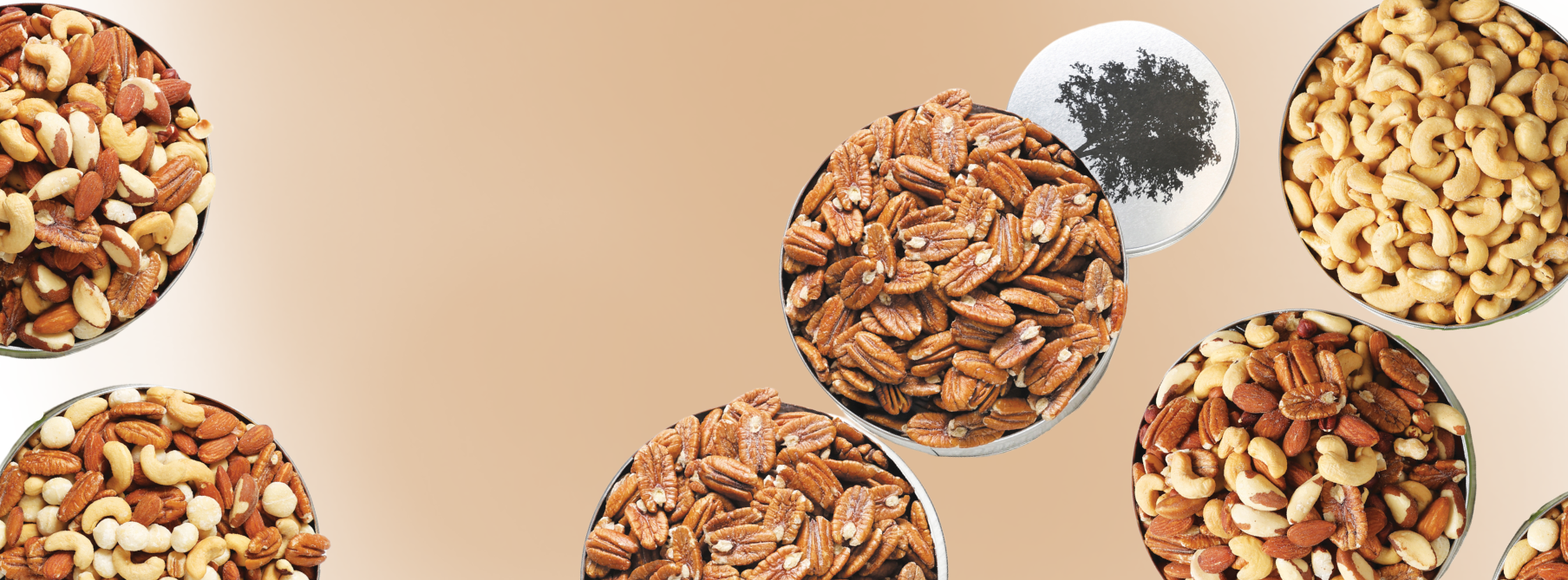 sunnyland-farms-nuts-gift-tins