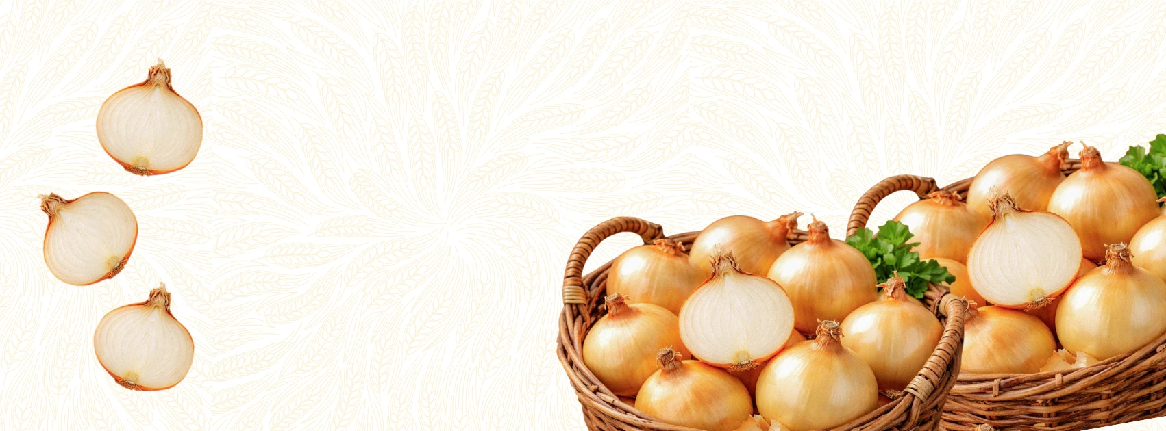 sunnyland-farms-vidalia-onion