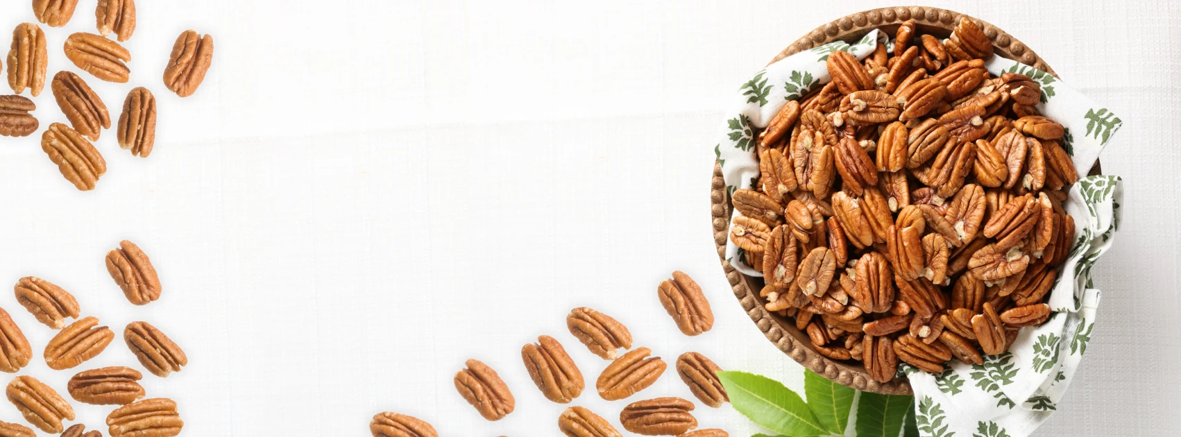 sunnyland-farms-raw-pecans
