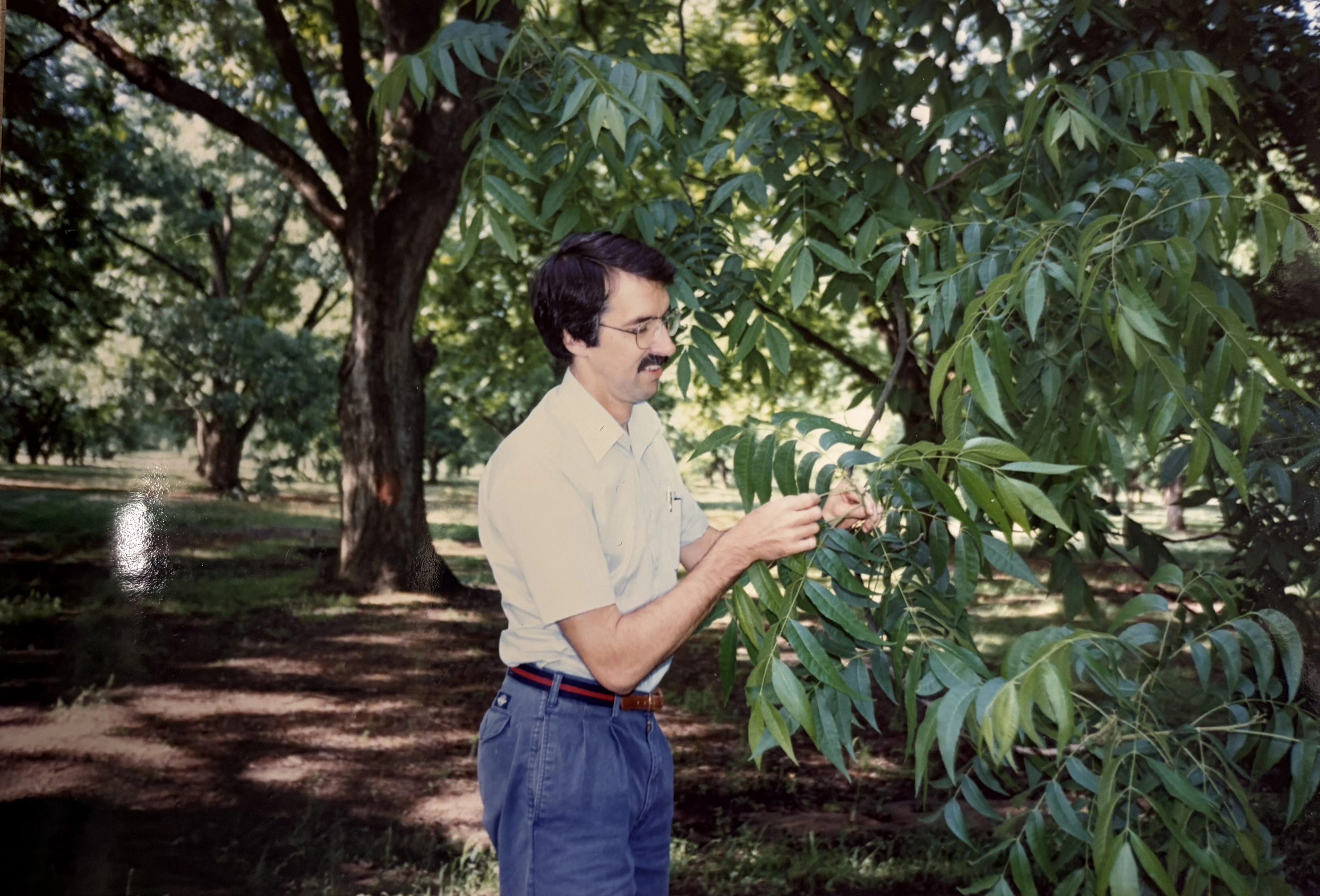 sunnyland-farms-larry-willson-third-generation-of-willson-farming-company