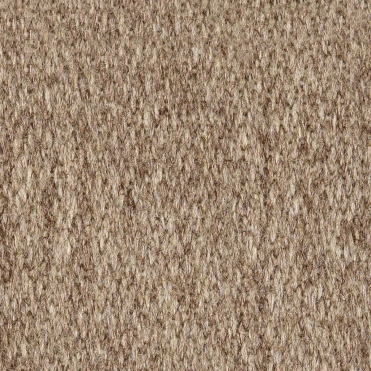 Pashmina | Alpaca