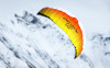 Prism Designs - Tantrum 200 / 250 Dual line kite
