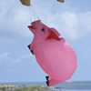 Premier Kites - 28 in. Pig Windsock