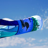ITB - Pair of Loons 40" Inspiration Windsock