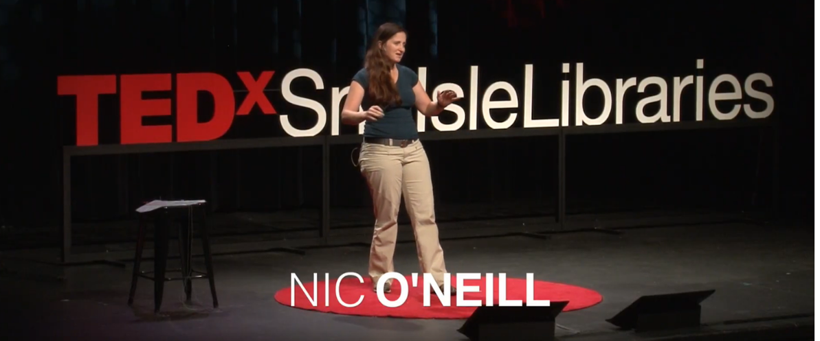 A TEDx talk about kites