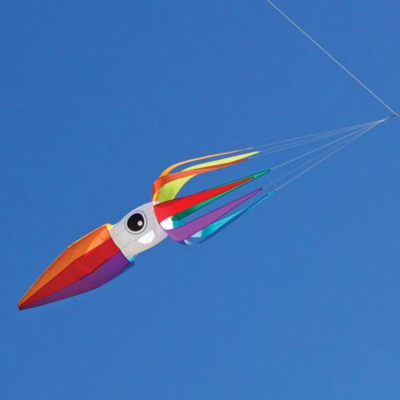 リネ・タトウィラー、【A Great Day to Fly A Kite】 ITTW - 11-ft Rainbow Flying Squid Kite Line Laundry - The