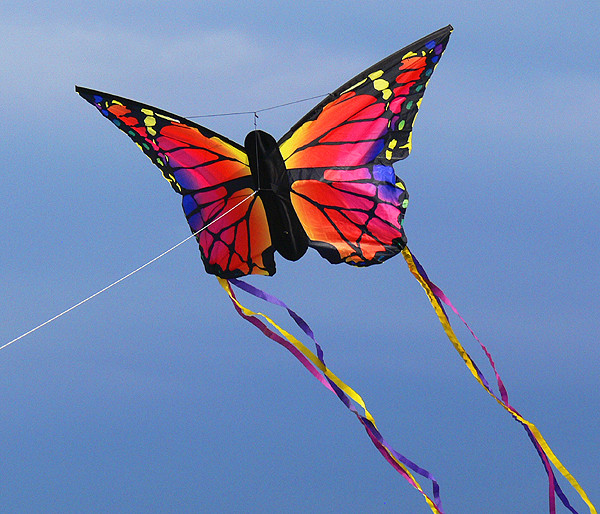 Premier Kite Windfahne Monarchfalter – Bunt, 45x27 Cm, Wetterfest, Für Garten, Terrasse Oder Balkon