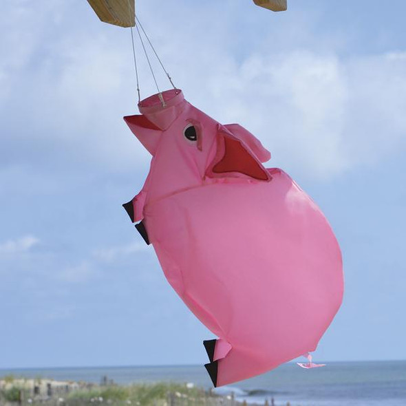 Premier Kites - 28 in. Pig Windsock