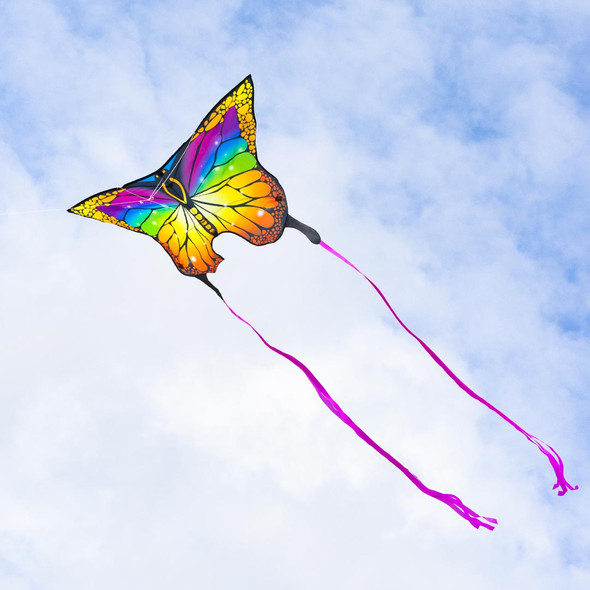 HQ Kites - ECOLINE BUTTERFLY KITE RAINBOW