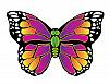 XKites-MicroKite "Butterfly"