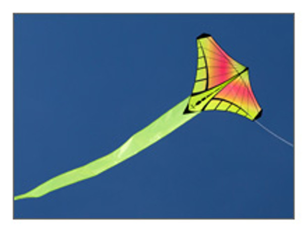 Prism Designs - Mantis Single line kite