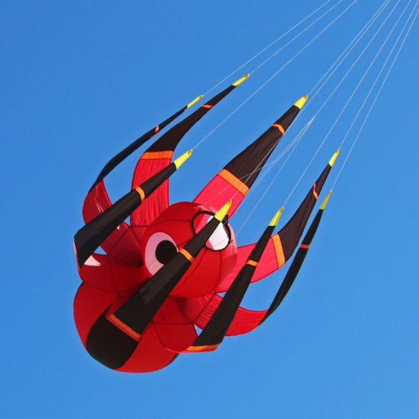 ITTW - Flying Spider Kite Line Laundry