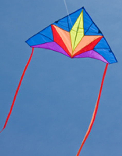HQ Kites - Simple Flyer "Delta Stern"