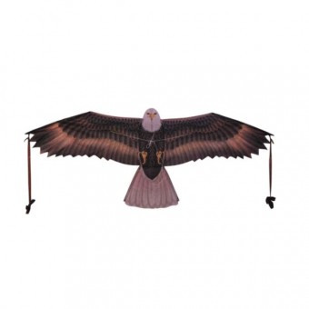 XKites - Birds of prey Kite "Eagle"