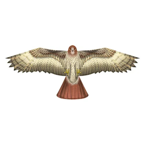 XKites - Birds of prey kite "Hawk"