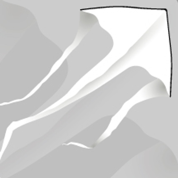 New Tech kites - Cascade Delta 6' "White"