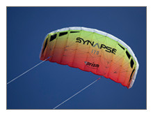 Synapse Dual Line Kite | The Kite Guys