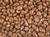 Chocolate Raisins *