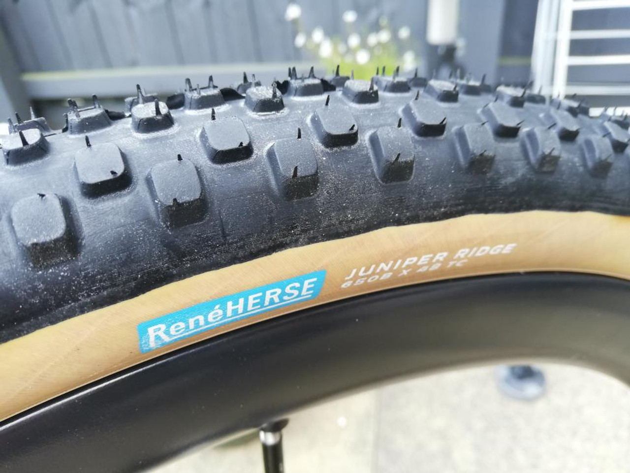 パーツ ReneHerse 650B x 48 JUNIPER RIDGE René Herse Tires | Juniper Ridge | Bike Touring News