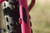 Surly Ice Cream Truck - Custom Demo Bike