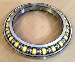 Case Excavator CX160B CX160C Travel Reduction Bearing. LB00548