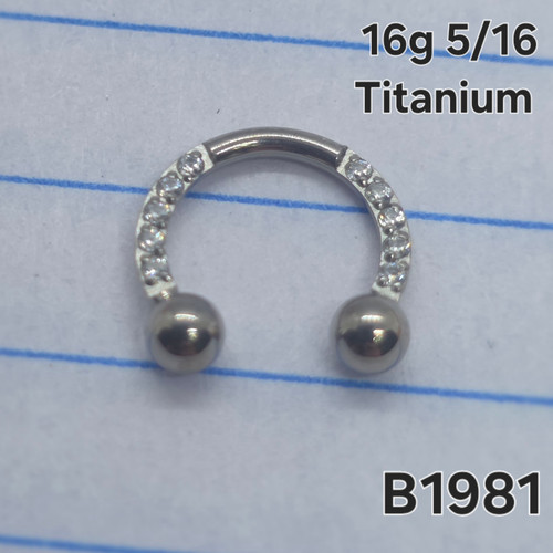 16g Titanium CZ Lined 5/16 Horseshoe Ring B1981