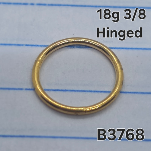 18g Gold Stainless 3/8 Hinged Hoop Seamless Ring B3768