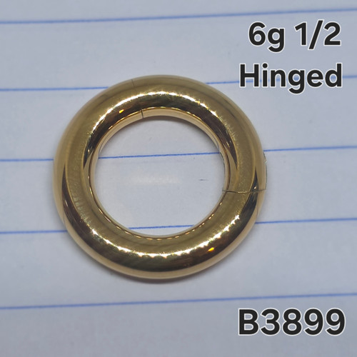 6g Gold Stainless 1/2 Hinged Hoop Seamless Ring B3899