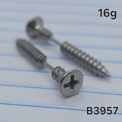 16g Silver Phillips Screw Faux Tapers Plugs Earrings B3957