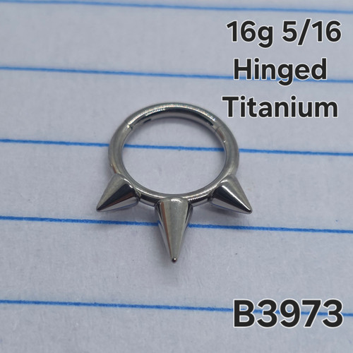 16g Titanium Spike 5/16 Hoop Seamless Ring B3973