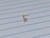 20g Gold 3mm CZ L Bend Nose Ring B1149