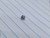 16g Stainless Silver AB CZ Dermal Implant Top B3560