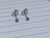 Titanium Silver 3mm CZ Stud Silver Earrings B3622