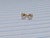 Titanium Gold 4mm Square CZ Stud Earrings B2049