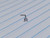20g Titanium Silver 3mm CZ 1/4 L-Bend Nose Ring Stud B3631