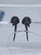 2x 8g Horn Skull Hanger Taper Gauges B3609