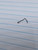 20g Titanium Silver Spike CZ 1/4 Screw Nose Ring B3634