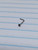 20g Titanium Silver Black 2mm CZ 1/4 L-Bend Nose Ring Stud B3627