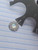 14g Silver CZ Reflective 3/8 Belly Ring B0769