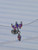 14g Titanium Dangle AB CZ Threadless 5/16 Floating Belly Ring B3992