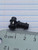 2g Organic Black Agate Stone Plugs Tunnels Gauges B4011