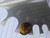 0g Tigers Eye Stone Single Flare Gauges Plugs B4009