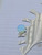 4g Organic Opalite Stone Plugs Tunnels Gauges B4005