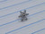 Threadless Titanium Silver Flower CZ Top B4020
