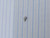 16g Titanium Silver Rectangle CZ Dermal Implant Top B4019