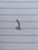 14g Titanium Floating Belly 5/16 Curved Threadless Base Flat Back B4060
