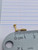 16g Stainless Gold Marquise CZ Dangle 1/4 Labret Ring B4090
