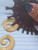 2x 0g Wood Spiral Taper Gauges B4089